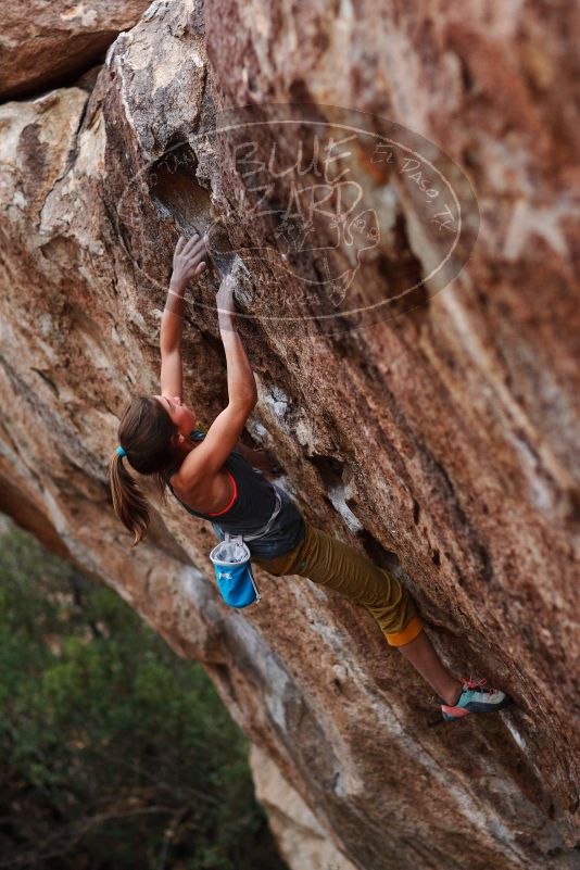 Bouldering in Hueco Tanks on 11/22/2018 with Blue Lizard Climbing and Yoga

Filename: SRM_20181122_1732400.jpg
Aperture: f/2.0
Shutter Speed: 1/320
Body: Canon EOS-1D Mark II
Lens: Canon EF 85mm f/1.2 L II