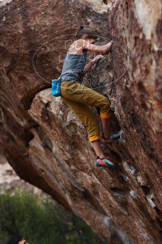 Bouldering in Hueco Tanks on 11/22/2018 with Blue Lizard Climbing and Yoga

Filename: SRM_20181122_1732540.jpg
Aperture: f/2.0
Shutter Speed: 1/500
Body: Canon EOS-1D Mark II
Lens: Canon EF 85mm f/1.2 L II