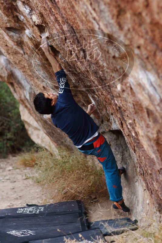 Bouldering in Hueco Tanks on 11/22/2018 with Blue Lizard Climbing and Yoga

Filename: SRM_20181122_1738210.jpg
Aperture: f/2.0
Shutter Speed: 1/200
Body: Canon EOS-1D Mark II
Lens: Canon EF 85mm f/1.2 L II