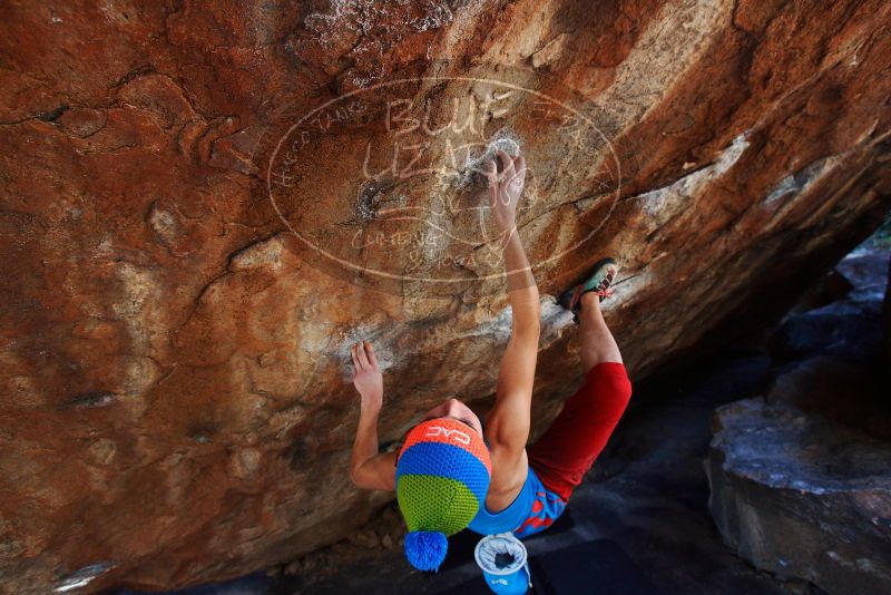 Bouldering in Hueco Tanks on 11/20/2018 with Blue Lizard Climbing and Yoga

Filename: SRM_20181120_1304010.jpg
Aperture: f/4.5
Shutter Speed: 1/250
Body: Canon EOS-1D Mark II
Lens: Canon EF 16-35mm f/2.8 L