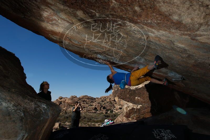 Bouldering in Hueco Tanks on 11/19/2018 with Blue Lizard Climbing and Yoga

Filename: SRM_20181119_1414220.jpg
Aperture: f/8.0
Shutter Speed: 1/250
Body: Canon EOS-1D Mark II
Lens: Canon EF 16-35mm f/2.8 L