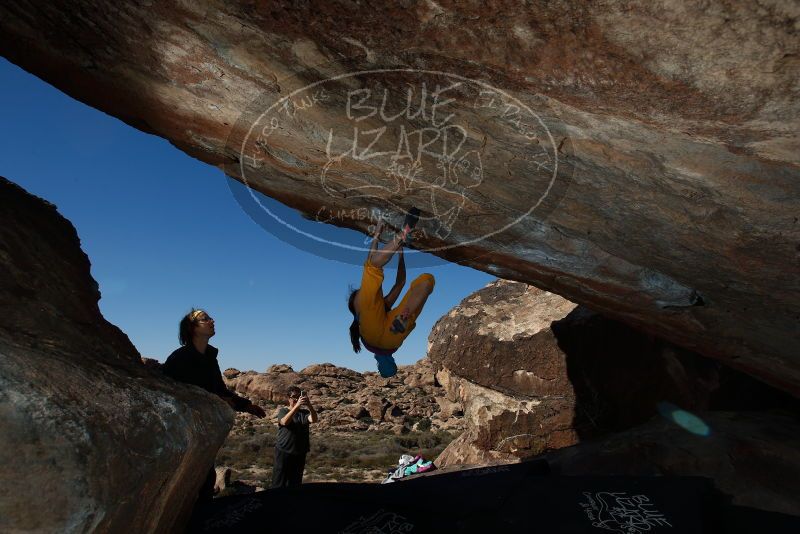 Bouldering in Hueco Tanks on 11/19/2018 with Blue Lizard Climbing and Yoga

Filename: SRM_20181119_1414280.jpg
Aperture: f/8.0
Shutter Speed: 1/250
Body: Canon EOS-1D Mark II
Lens: Canon EF 16-35mm f/2.8 L