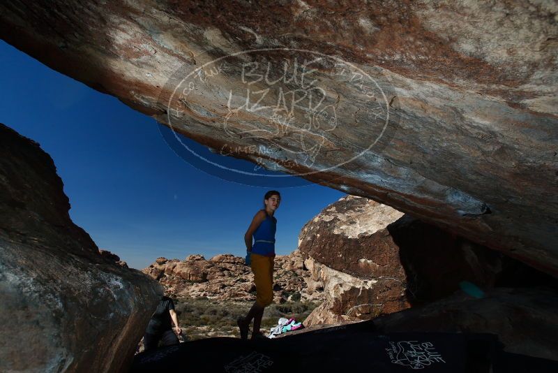 Bouldering in Hueco Tanks on 11/19/2018 with Blue Lizard Climbing and Yoga

Filename: SRM_20181119_1419410.jpg
Aperture: f/8.0
Shutter Speed: 1/250
Body: Canon EOS-1D Mark II
Lens: Canon EF 16-35mm f/2.8 L