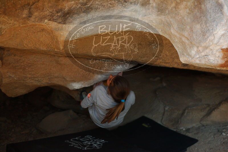 Bouldering in Hueco Tanks on 11/19/2018 with Blue Lizard Climbing and Yoga

Filename: SRM_20181119_1510330.jpg
Aperture: f/2.8
Shutter Speed: 1/250
Body: Canon EOS-1D Mark II
Lens: Canon EF 50mm f/1.8 II