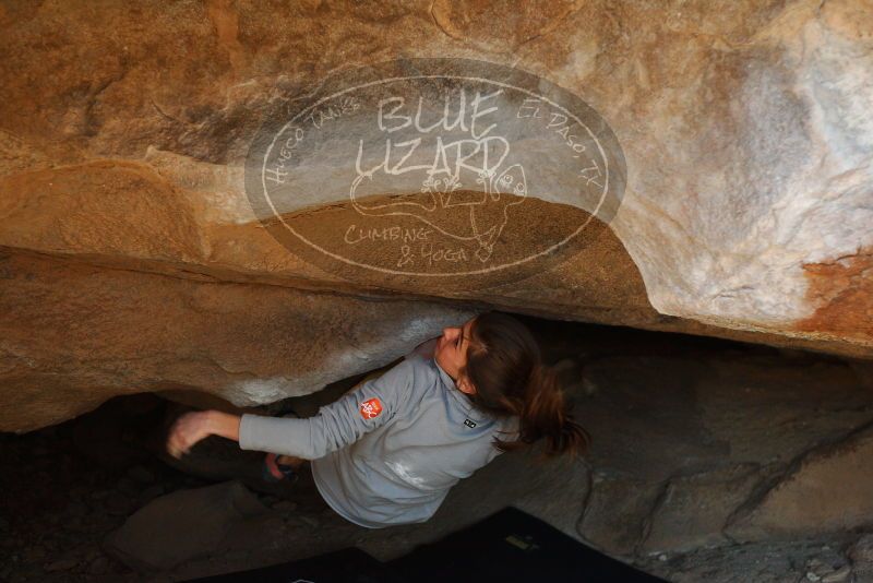 Bouldering in Hueco Tanks on 11/19/2018 with Blue Lizard Climbing and Yoga

Filename: SRM_20181119_1511200.jpg
Aperture: f/2.8
Shutter Speed: 1/250
Body: Canon EOS-1D Mark II
Lens: Canon EF 50mm f/1.8 II