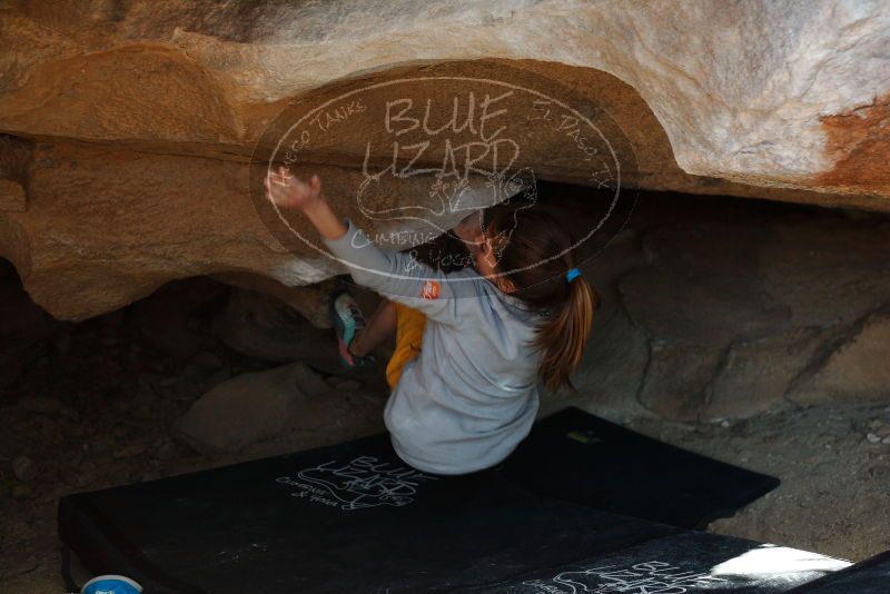 Bouldering in Hueco Tanks on 11/19/2018 with Blue Lizard Climbing and Yoga

Filename: SRM_20181119_1522190.jpg
Aperture: f/2.8
Shutter Speed: 1/250
Body: Canon EOS-1D Mark II
Lens: Canon EF 50mm f/1.8 II