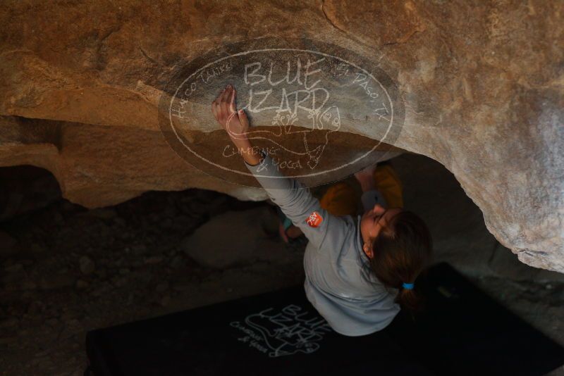 Bouldering in Hueco Tanks on 11/19/2018 with Blue Lizard Climbing and Yoga

Filename: SRM_20181119_1527461.jpg
Aperture: f/2.8
Shutter Speed: 1/250
Body: Canon EOS-1D Mark II
Lens: Canon EF 50mm f/1.8 II