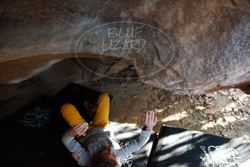 Bouldering in Hueco Tanks on 11/19/2018 with Blue Lizard Climbing and Yoga

Filename: SRM_20181119_1603130.jpg
Aperture: f/2.8
Shutter Speed: 1/250
Body: Canon EOS-1D Mark II
Lens: Canon EF 16-35mm f/2.8 L