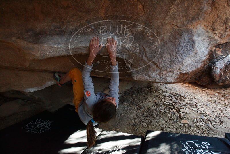 Bouldering in Hueco Tanks on 11/19/2018 with Blue Lizard Climbing and Yoga

Filename: SRM_20181119_1612290.jpg
Aperture: f/2.8
Shutter Speed: 1/250
Body: Canon EOS-1D Mark II
Lens: Canon EF 16-35mm f/2.8 L