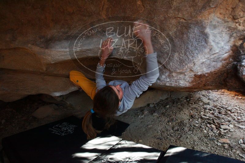 Bouldering in Hueco Tanks on 11/19/2018 with Blue Lizard Climbing and Yoga

Filename: SRM_20181119_1612320.jpg
Aperture: f/2.8
Shutter Speed: 1/250
Body: Canon EOS-1D Mark II
Lens: Canon EF 16-35mm f/2.8 L