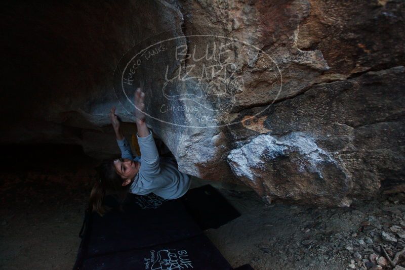 Bouldering in Hueco Tanks on 11/19/2018 with Blue Lizard Climbing and Yoga

Filename: SRM_20181119_1640000.jpg
Aperture: f/2.8
Shutter Speed: 1/250
Body: Canon EOS-1D Mark II
Lens: Canon EF 16-35mm f/2.8 L