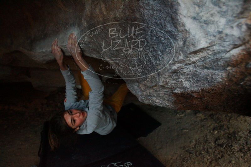 Bouldering in Hueco Tanks on 11/19/2018 with Blue Lizard Climbing and Yoga

Filename: SRM_20181119_1646480.jpg
Aperture: f/2.8
Shutter Speed: 1/250
Body: Canon EOS-1D Mark II
Lens: Canon EF 16-35mm f/2.8 L