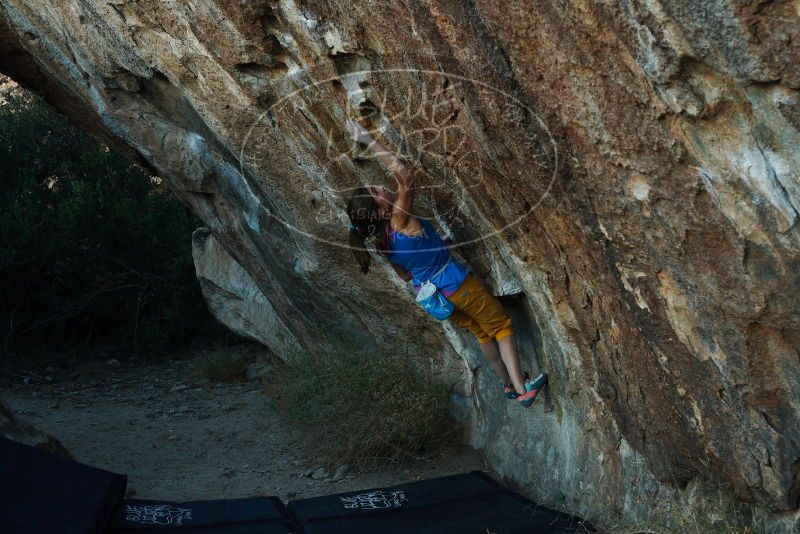 Bouldering in Hueco Tanks on 11/19/2018 with Blue Lizard Climbing and Yoga

Filename: SRM_20181119_1742100.jpg
Aperture: f/5.0
Shutter Speed: 1/250
Body: Canon EOS-1D Mark II
Lens: Canon EF 50mm f/1.8 II