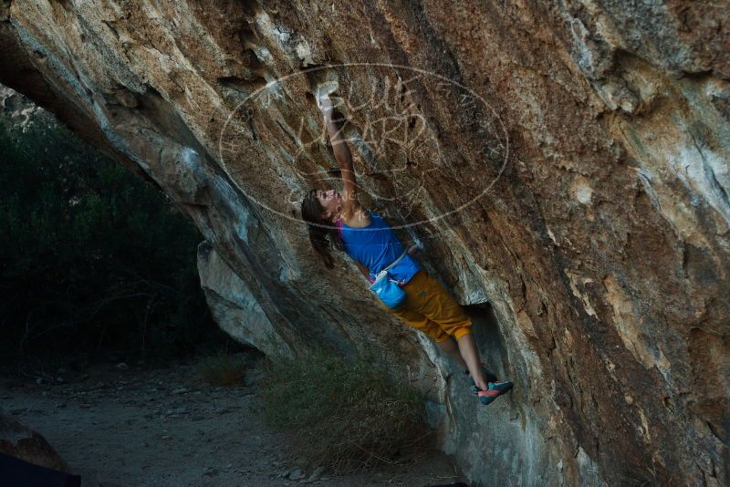 Bouldering in Hueco Tanks on 11/19/2018 with Blue Lizard Climbing and Yoga

Filename: SRM_20181119_1746480.jpg
Aperture: f/4.5
Shutter Speed: 1/250
Body: Canon EOS-1D Mark II
Lens: Canon EF 50mm f/1.8 II