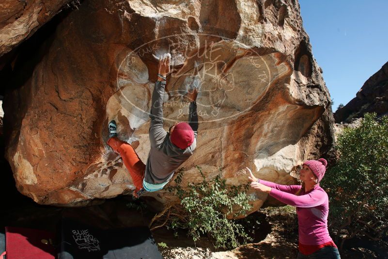 Bouldering in Hueco Tanks on 11/09/2018 with Blue Lizard Climbing and Yoga

Filename: SRM_20181109_1301410.jpg
Aperture: f/8.0
Shutter Speed: 1/250
Body: Canon EOS-1D Mark II
Lens: Canon EF 16-35mm f/2.8 L