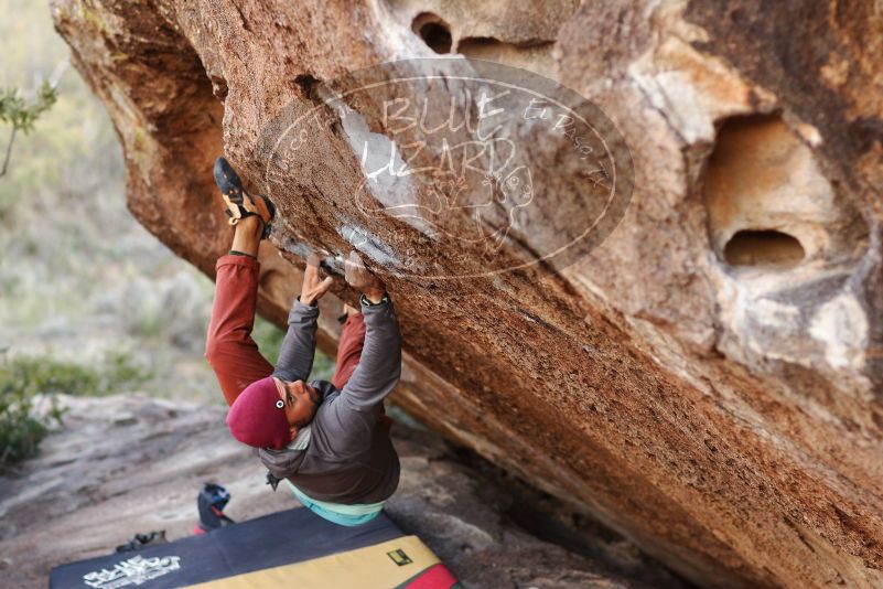 Bouldering in Hueco Tanks on 11/09/2018 with Blue Lizard Climbing and Yoga

Filename: SRM_20181109_1659221.jpg
Aperture: f/2.8
Shutter Speed: 1/500
Body: Canon EOS-1D Mark II
Lens: Canon EF 85mm f/1.2 L II