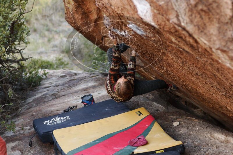 Bouldering in Hueco Tanks on 11/09/2018 with Blue Lizard Climbing and Yoga

Filename: SRM_20181109_1702150.jpg
Aperture: f/2.8
Shutter Speed: 1/400
Body: Canon EOS-1D Mark II
Lens: Canon EF 85mm f/1.2 L II