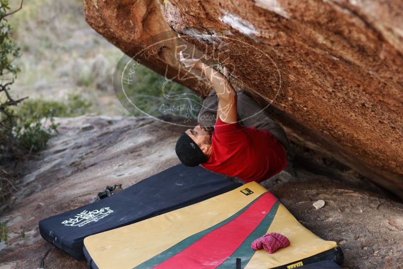 Bouldering in Hueco Tanks on 11/09/2018 with Blue Lizard Climbing and Yoga

Filename: SRM_20181109_1707030.jpg
Aperture: f/2.8
Shutter Speed: 1/400
Body: Canon EOS-1D Mark II
Lens: Canon EF 85mm f/1.2 L II