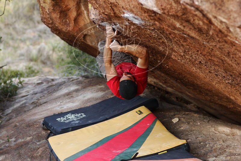 Bouldering in Hueco Tanks on 11/09/2018 with Blue Lizard Climbing and Yoga

Filename: SRM_20181109_1709470.jpg
Aperture: f/2.8
Shutter Speed: 1/400
Body: Canon EOS-1D Mark II
Lens: Canon EF 85mm f/1.2 L II