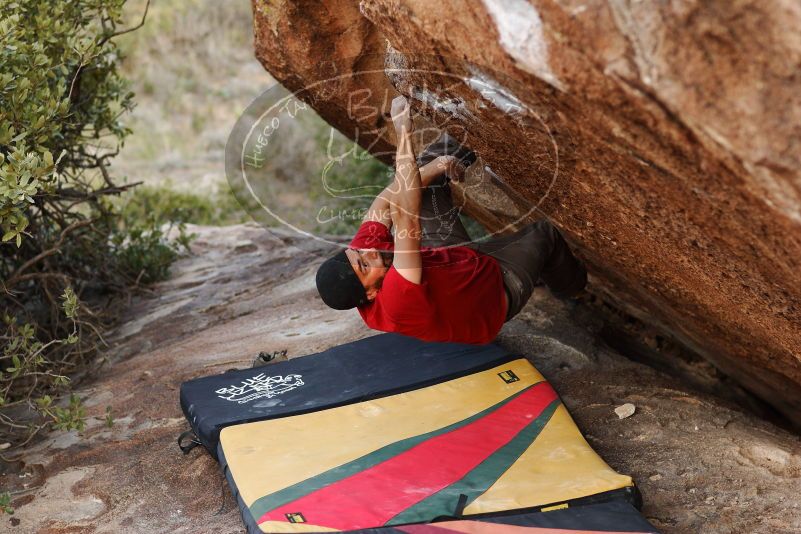 Bouldering in Hueco Tanks on 11/09/2018 with Blue Lizard Climbing and Yoga

Filename: SRM_20181109_1717420.jpg
Aperture: f/2.8
Shutter Speed: 1/500
Body: Canon EOS-1D Mark II
Lens: Canon EF 85mm f/1.2 L II