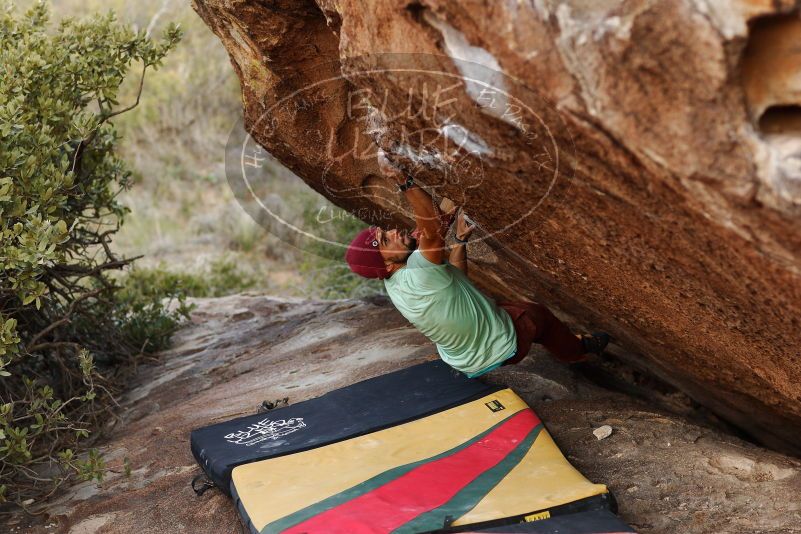 Bouldering in Hueco Tanks on 11/09/2018 with Blue Lizard Climbing and Yoga

Filename: SRM_20181109_1719070.jpg
Aperture: f/2.8
Shutter Speed: 1/500
Body: Canon EOS-1D Mark II
Lens: Canon EF 85mm f/1.2 L II