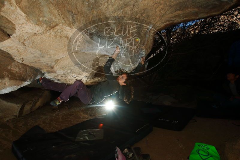 Bouldering in Hueco Tanks on 12/01/2018 with Blue Lizard Climbing and Yoga

Filename: SRM_20181201_1115580.jpg
Aperture: f/8.0
Shutter Speed: 1/250
Body: Canon EOS-1D Mark II
Lens: Canon EF 16-35mm f/2.8 L