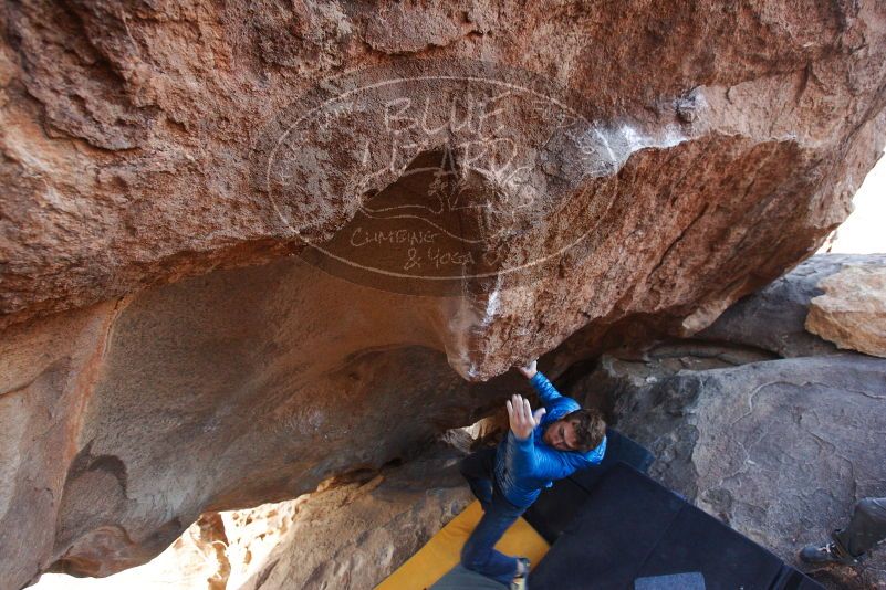 Bouldering in Hueco Tanks on 12/01/2018 with Blue Lizard Climbing and Yoga

Filename: SRM_20181201_1326280.jpg
Aperture: f/4.0
Shutter Speed: 1/250
Body: Canon EOS-1D Mark II
Lens: Canon EF 16-35mm f/2.8 L