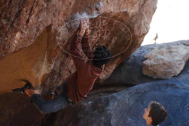 Bouldering in Hueco Tanks on 12/01/2018 with Blue Lizard Climbing and Yoga

Filename: SRM_20181201_1340020.jpg
Aperture: f/4.0
Shutter Speed: 1/500
Body: Canon EOS-1D Mark II
Lens: Canon EF 50mm f/1.8 II