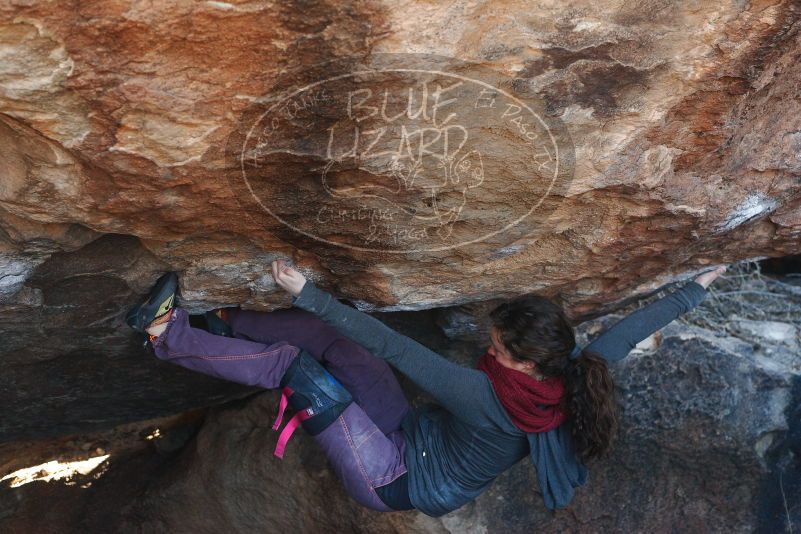 Bouldering in Hueco Tanks on 12/01/2018 with Blue Lizard Climbing and Yoga

Filename: SRM_20181201_1412550.jpg
Aperture: f/4.0
Shutter Speed: 1/400
Body: Canon EOS-1D Mark II
Lens: Canon EF 50mm f/1.8 II