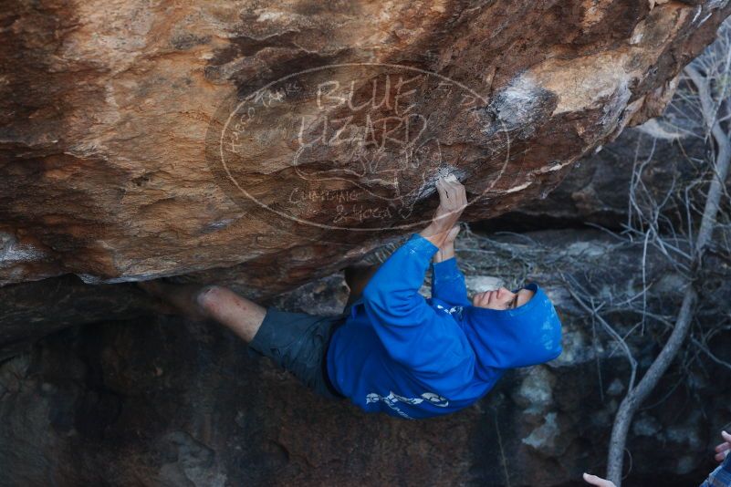 Bouldering in Hueco Tanks on 12/01/2018 with Blue Lizard Climbing and Yoga

Filename: SRM_20181201_1415540.jpg
Aperture: f/4.0
Shutter Speed: 1/320
Body: Canon EOS-1D Mark II
Lens: Canon EF 50mm f/1.8 II