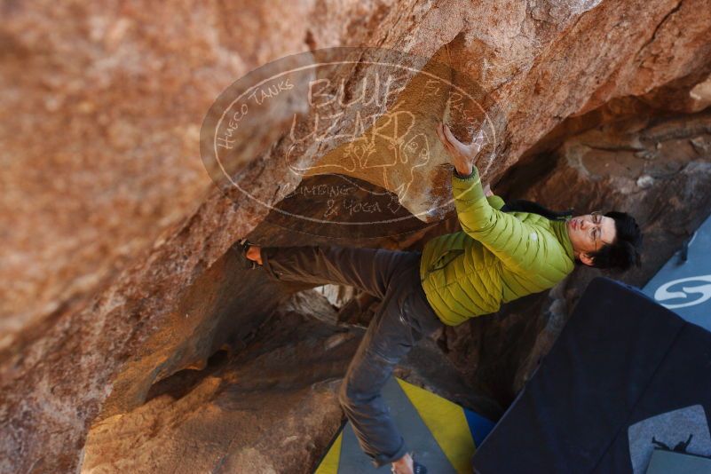 Bouldering in Hueco Tanks on 12/01/2018 with Blue Lizard Climbing and Yoga

Filename: SRM_20181201_1437521.jpg
Aperture: f/4.0
Shutter Speed: 1/320
Body: Canon EOS-1D Mark II
Lens: Canon EF 50mm f/1.8 II