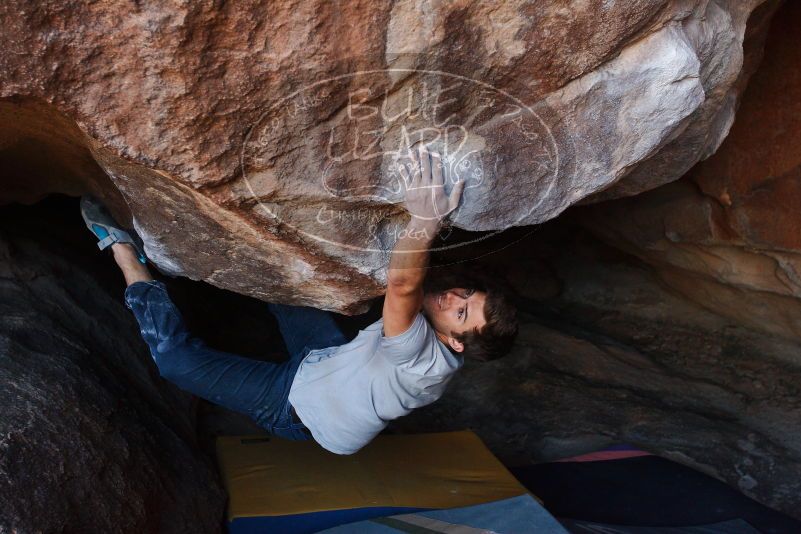 Bouldering in Hueco Tanks on 12/01/2018 with Blue Lizard Climbing and Yoga

Filename: SRM_20181201_1516260.jpg
Aperture: f/4.0
Shutter Speed: 1/320
Body: Canon EOS-1D Mark II
Lens: Canon EF 16-35mm f/2.8 L