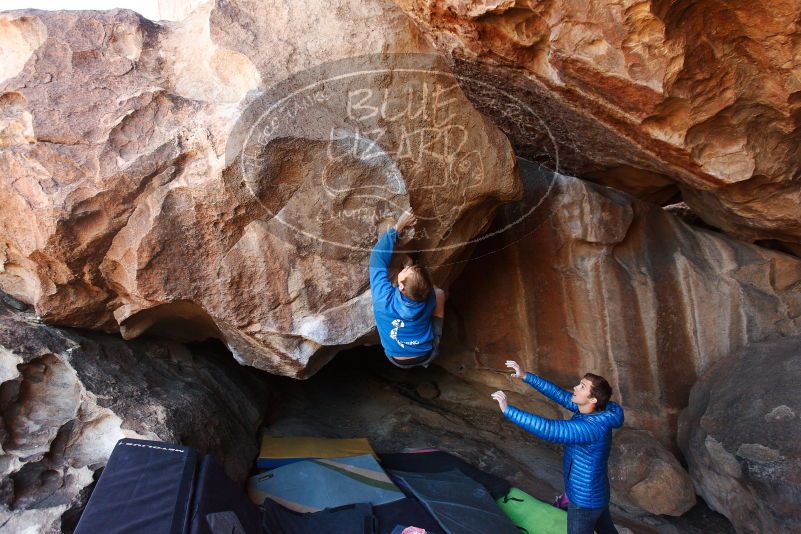 Bouldering in Hueco Tanks on 12/01/2018 with Blue Lizard Climbing and Yoga

Filename: SRM_20181201_1518100.jpg
Aperture: f/4.0
Shutter Speed: 1/320
Body: Canon EOS-1D Mark II
Lens: Canon EF 16-35mm f/2.8 L