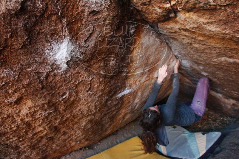 Bouldering in Hueco Tanks on 12/01/2018 with Blue Lizard Climbing and Yoga

Filename: SRM_20181201_1650280.jpg
Aperture: f/3.2
Shutter Speed: 1/250
Body: Canon EOS-1D Mark II
Lens: Canon EF 16-35mm f/2.8 L