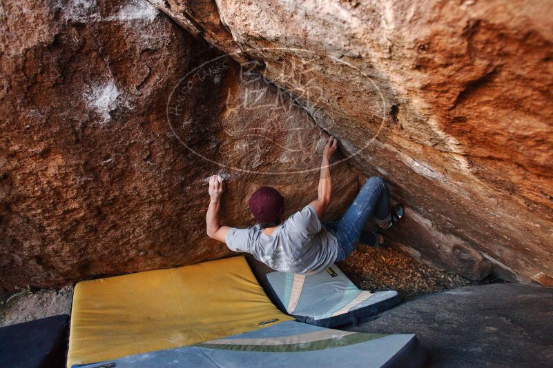 Bouldering in Hueco Tanks on 12/01/2018 with Blue Lizard Climbing and Yoga

Filename: SRM_20181201_1655380.jpg
Aperture: f/4.0
Shutter Speed: 1/250
Body: Canon EOS-1D Mark II
Lens: Canon EF 16-35mm f/2.8 L