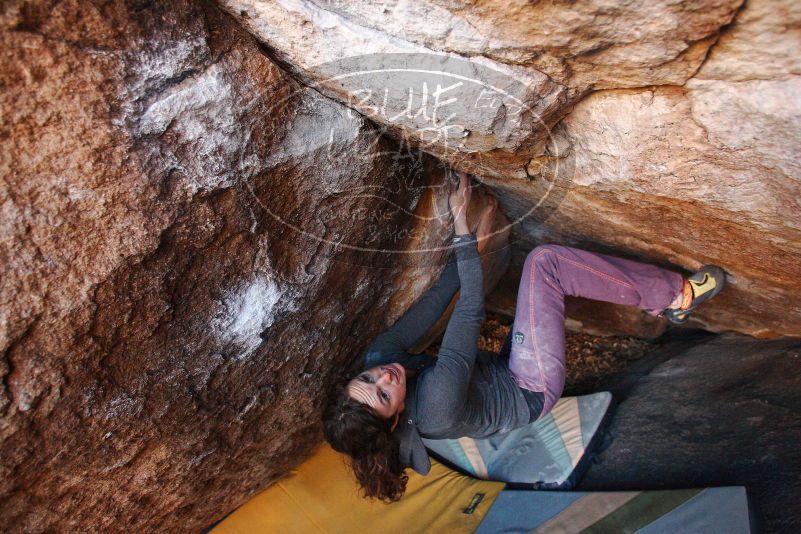 Bouldering in Hueco Tanks on 12/01/2018 with Blue Lizard Climbing and Yoga

Filename: SRM_20181201_1657430.jpg
Aperture: f/4.0
Shutter Speed: 1/250
Body: Canon EOS-1D Mark II
Lens: Canon EF 16-35mm f/2.8 L