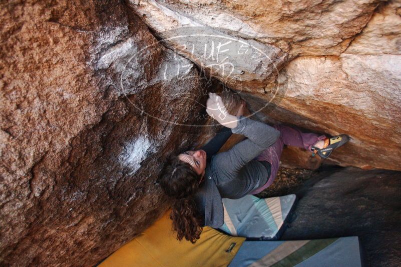 Bouldering in Hueco Tanks on 12/01/2018 with Blue Lizard Climbing and Yoga

Filename: SRM_20181201_1657440.jpg
Aperture: f/4.0
Shutter Speed: 1/250
Body: Canon EOS-1D Mark II
Lens: Canon EF 16-35mm f/2.8 L