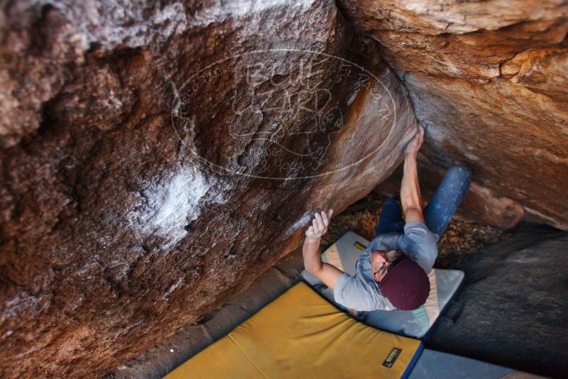 Bouldering in Hueco Tanks on 12/01/2018 with Blue Lizard Climbing and Yoga

Filename: SRM_20181201_1700180.jpg
Aperture: f/3.2
Shutter Speed: 1/250
Body: Canon EOS-1D Mark II
Lens: Canon EF 16-35mm f/2.8 L