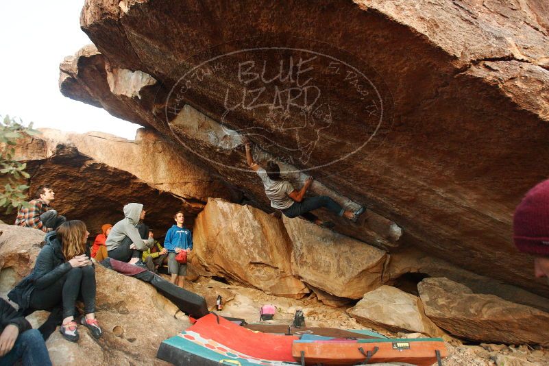 Bouldering in Hueco Tanks on 12/01/2018 with Blue Lizard Climbing and Yoga

Filename: SRM_20181201_1753320.jpg
Aperture: f/4.0
Shutter Speed: 1/250
Body: Canon EOS-1D Mark II
Lens: Canon EF 16-35mm f/2.8 L