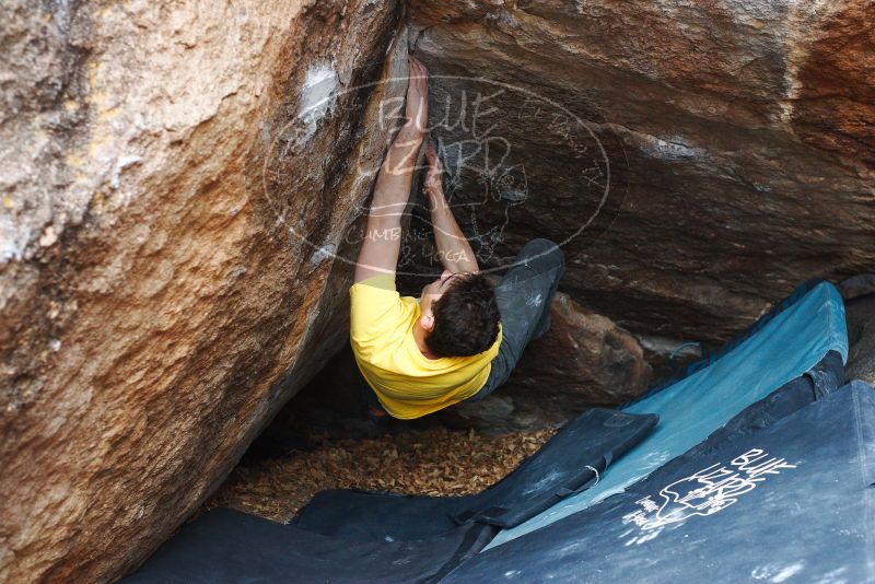 Bouldering in Hueco Tanks on 12/02/2018 with Blue Lizard Climbing and Yoga

Filename: SRM_20181202_1155561.jpg
Aperture: f/3.5
Shutter Speed: 1/250
Body: Canon EOS-1D Mark II
Lens: Canon EF 50mm f/1.8 II