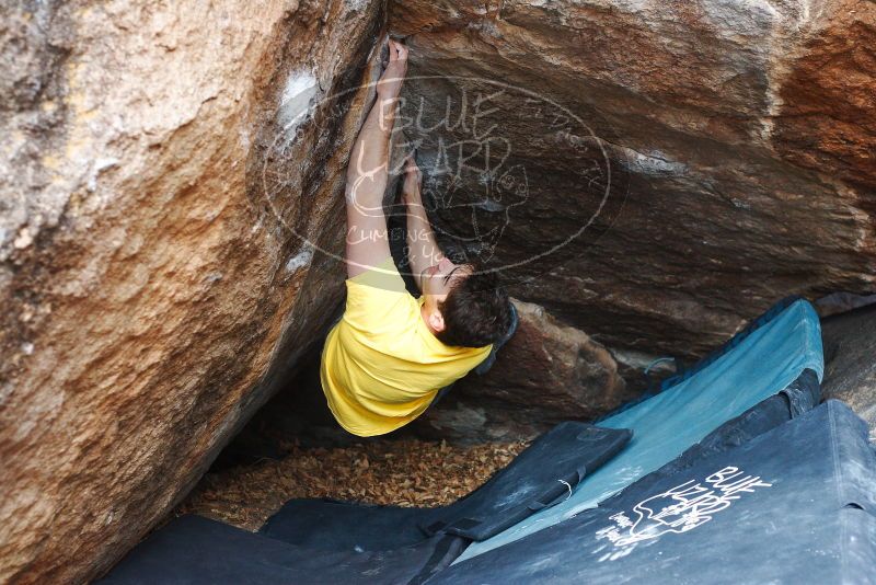 Bouldering in Hueco Tanks on 12/02/2018 with Blue Lizard Climbing and Yoga

Filename: SRM_20181202_1156000.jpg
Aperture: f/3.5
Shutter Speed: 1/250
Body: Canon EOS-1D Mark II
Lens: Canon EF 50mm f/1.8 II