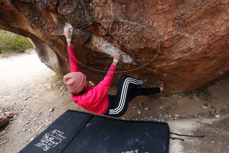 Bouldering in Hueco Tanks on 12/02/2018 with Blue Lizard Climbing and Yoga

Filename: SRM_20181202_1401180.jpg
Aperture: f/8.0
Shutter Speed: 1/250
Body: Canon EOS-1D Mark II
Lens: Canon EF 16-35mm f/2.8 L