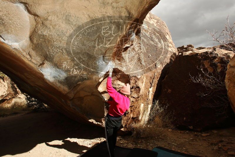 Bouldering in Hueco Tanks on 12/02/2018 with Blue Lizard Climbing and Yoga

Filename: SRM_20181202_1434240.jpg
Aperture: f/8.0
Shutter Speed: 1/250
Body: Canon EOS-1D Mark II
Lens: Canon EF 16-35mm f/2.8 L