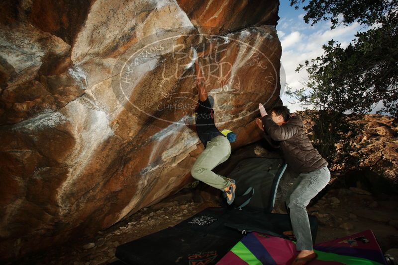 Bouldering in Hueco Tanks on 12/02/2018 with Blue Lizard Climbing and Yoga

Filename: SRM_20181202_1631110.jpg
Aperture: f/7.1
Shutter Speed: 1/250
Body: Canon EOS-1D Mark II
Lens: Canon EF 16-35mm f/2.8 L