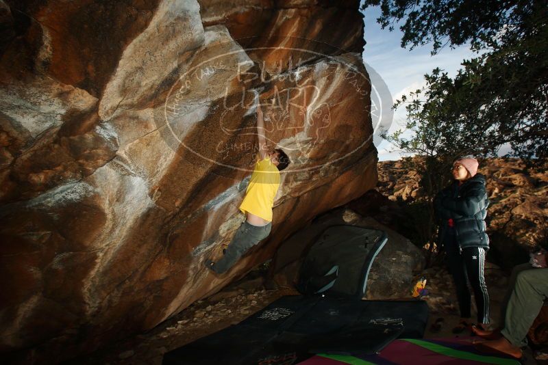 Bouldering in Hueco Tanks on 12/02/2018 with Blue Lizard Climbing and Yoga

Filename: SRM_20181202_1635250.jpg
Aperture: f/7.1
Shutter Speed: 1/250
Body: Canon EOS-1D Mark II
Lens: Canon EF 16-35mm f/2.8 L