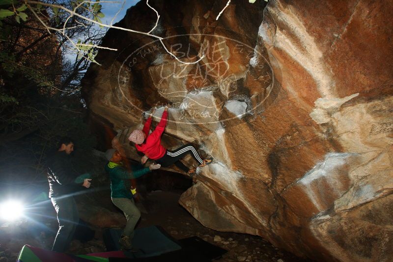 Bouldering in Hueco Tanks on 12/02/2018 with Blue Lizard Climbing and Yoga

Filename: SRM_20181202_1641190.jpg
Aperture: f/7.1
Shutter Speed: 1/250
Body: Canon EOS-1D Mark II
Lens: Canon EF 16-35mm f/2.8 L