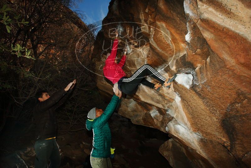 Bouldering in Hueco Tanks on 12/02/2018 with Blue Lizard Climbing and Yoga

Filename: SRM_20181202_1642370.jpg
Aperture: f/7.1
Shutter Speed: 1/250
Body: Canon EOS-1D Mark II
Lens: Canon EF 16-35mm f/2.8 L