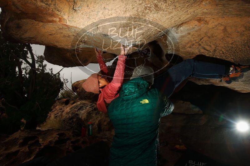 Bouldering in Hueco Tanks on 12/08/2018 with Blue Lizard Climbing and Yoga

Filename: SRM_20181208_1342020.jpg
Aperture: f/8.0
Shutter Speed: 1/200
Body: Canon EOS-1D Mark II
Lens: Canon EF 16-35mm f/2.8 L