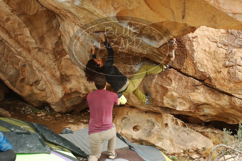 Bouldering in Hueco Tanks on 12/08/2018 with Blue Lizard Climbing and Yoga

Filename: SRM_20181208_1437070.jpg
Aperture: f/4.5
Shutter Speed: 1/250
Body: Canon EOS-1D Mark II
Lens: Canon EF 50mm f/1.8 II