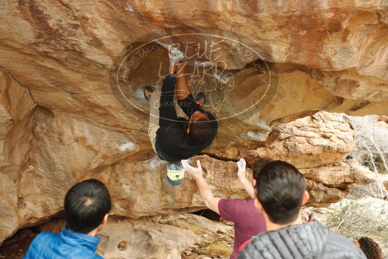 Bouldering in Hueco Tanks on 12/08/2018 with Blue Lizard Climbing and Yoga

Filename: SRM_20181208_1438190.jpg
Aperture: f/4.5
Shutter Speed: 1/250
Body: Canon EOS-1D Mark II
Lens: Canon EF 50mm f/1.8 II